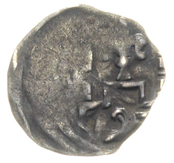 Barnim I 1220-1278, denar po 1264, mennica nieustalona, Aw: Głowa gryfa?, pod nią krzyż, Rw: Lilia pomiędzy dwiema wieżami, u dołu głowa gryfa, 0.32 g, Dbg 72, patyna