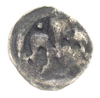 Dymin- miasto /Demmin/, denar koniec XIV w, Aw: Lilia z dwiema kulkami powyżej, Rw: Gryf ?, 0.25 g, Dbg 191a, patyna