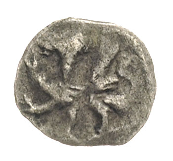 Uznam- miasto /Usedom/, denar po 1350, Aw: Hełm z piórami w lewo, Rw: Gryf w lewo, 0.24 g, Dbg 319