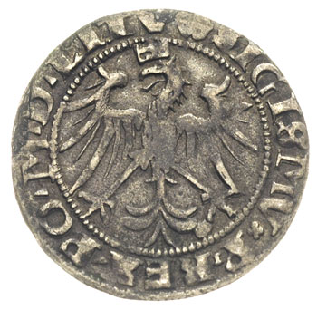 grosz 1536, Wilno, odmiana z literą M pod Pogonią, Ivanauskas 2S73-20, T. 7, rzadki, patyna