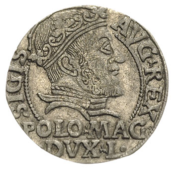grosz na stopę polską 1547, Wilno, odmiana z małą głową króla, Ivanauskas 5SA6-3