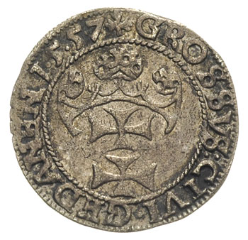 grosz 1557, Gdańsk, wcześniejszy typ z małą głową króla, T.4, rzadki, nierównomierna patyna