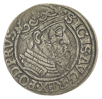 grosz 1557, Gdańsk,  typ późniejszy z dużą głową