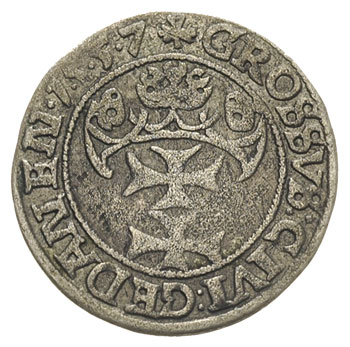 grosz 1557, Gdańsk,  typ późniejszy z dużą głową króla, T. 4, rzadki