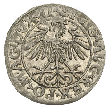 półgrosz 1550, Wilno, Ivanauskas 4SA45-13, ładny