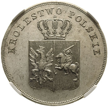 5 złotych 1831, Warszawa, Plage 272, moneta w pudełku NGC - AU 58, bardzo ładny egzemplarz