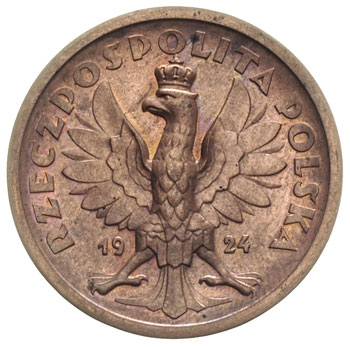 50 złotych (bez nazwy nominału) 1924, Klęczący Piast, miedź 10.32 g, Parchimowicz P-165.a, nakład 105 sztuk, rzadkie i ładne