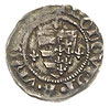 Ludwik I Andegaweński 1342-1382, denar, Aw: Tarcza andegaweńska i trzy krzyżyki w polach, Rw: Król..