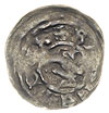 Barnim I 1220-1278, denar po 1264, Szczecin, Aw: