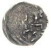 Barnim I 1220-1278, denar po 1264, mennica nieustalona, Aw: Głowa gryfa?, pod nią krzyż, Rw: Lilia..