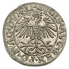 półgrosz 1550, Wilno, Ivanauskas 4SA45-13, ładny egzemplarz