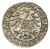 półgrosz 1553, Wilno, mniejsze cyfry daty, Ivana