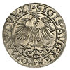 półgrosz 1557, Wilno, mała data i trójlistki na awersie i rewersie, Ivanauskas 4SA68-16, bardzo ła..