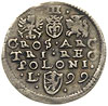 trojak 1599, Lublin, Iger L.99.1.a, patyna