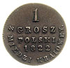 grosz z miedzi krajowej, Warszawa, Plage 210, Bitkin 896, patyna