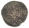 Jan III 1568-1592, zestaw szelągów bez daty, Rew