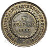 medal niesygnowany  z Międzynarodowej Wystawy Ogrodniczej w Kolonii, 1888 r., Aw: Siedząca Bogini,..
