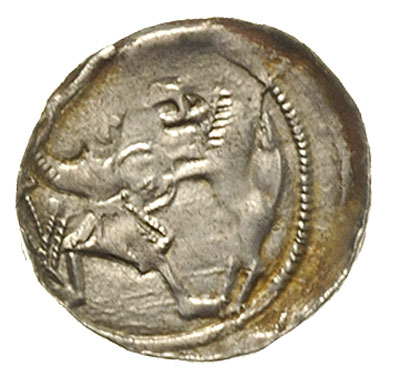 denar, Aw: Książę z mieczem na tronie, obok giermek, wokoło napis, Rw: Rycerz walczący z lwem, srebro 0.55 g, Str. 40, Such. XVI