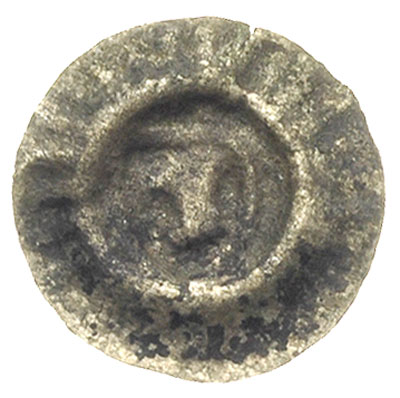 brakteat XIII/XIV w., Głowa gryfa w lewo w tarcz