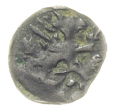denar XIV w., Aw: Sześcioramienna gwiazda z kółkiem i kulką w środku oraz kulkami w polach, Rw: Gryf w prawo, 0.24 g, Dbg. 243c