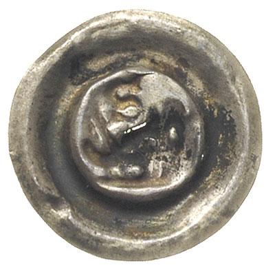 brakteat XIV w., Głowa dzika w prawo, nad nią odwrócona litera S, 0.25 g, Fbg. 357