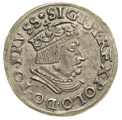 trojak 1537, Gdańsk, wąska głowa króla, Iger G.3