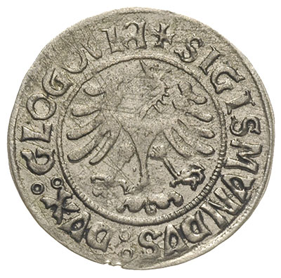 grosz bez daty, Głogów, Fbg. 295, moneta bita pr
