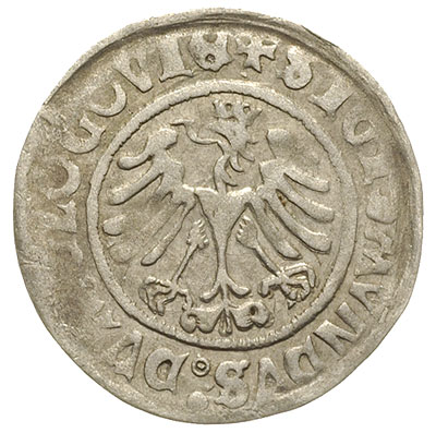grosz 1506, Głogów, Fbg. 296, moneta królewicza Zygmunta jako księcia głogowskiego, dość ładna z blaskiem menniczym