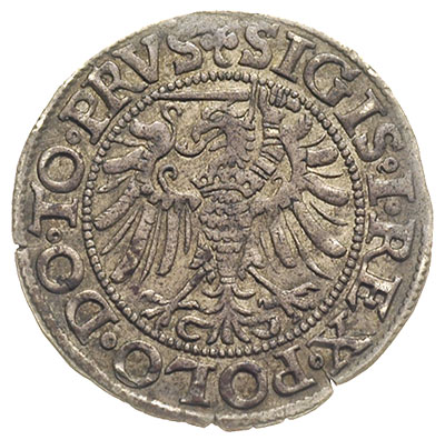 grosz 1539, Elbląg, ładny egzemplarz, ciemna patyna