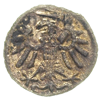denar 1539, Gdańsk, po bokach herbu litery M-S, T. 20, bardzo rzadka i ładnie zachowana moneta, patyna