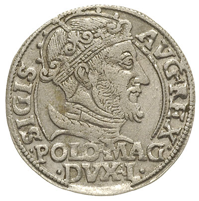 grosz na stopę polską 1548, Wilno, Ivanauskas 5SA8-4