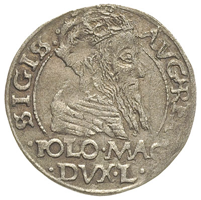 grosz na stopę polską 1566, Tykocin, na rewersie
