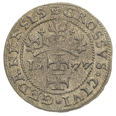 grosz oblężniczy 1577, Gdańsk,  moneta \bez kawki\" wybita w czasie gdy zarządcą mennicy był K. Goebl