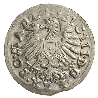 grosz 1609, Wilno, odmiana bez obwódek, Ivanausk