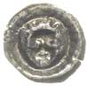 brakteat 2. połowa XV w., Ukoronowana głowa, promienista obwódka, 0.22 g, Dbg. 214, moneta lakiero..