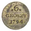 6 groszy 1794, Warszawa, mniejsze cyfry daty, Plage 210, patyna