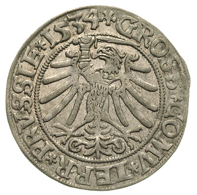 grosz 1534, Toruń, bardzo ładny