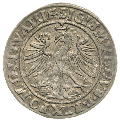 grosz litewski 1535, Wilno, Ivanauskas 2S6-2, T. 7, rzadki i bardzo ładny