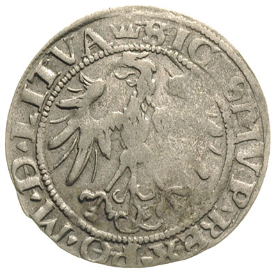 grosz litewski 1536, Wilno, odmiana z literą F p