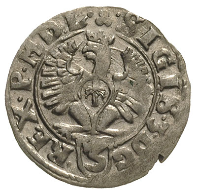 półtorak 1614, Bydgoszcz, na awersie Orzeł i cyfra 3, T. 4, rzadki