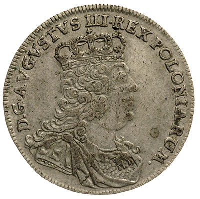 tymf 1753, Lipsk, odmiana z kropką z prawej stro
