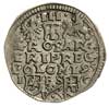 trojak 1595, Bydgoszcz, awers Iger B.95.2.c, rew
