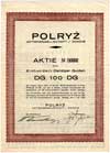 Polryż AG Danzig, akcja na 100 guldenów 1.07.1933, Gdańsk, talon z 5 kuponami, rzadka