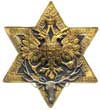 odznaka Cesarskiego Towarzystwa Myśliwskiego nad