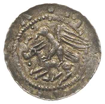Władysław Wygnaniec 1138-1146, denar, Aw: Rycerz