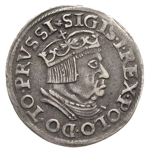 trojak 1537, Gdańsk, na awersie odmiana napisu PRVSSI, Iger G.37.1.d (R1), patyna