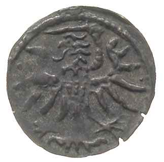 denar 1557, Elbląg, T. 7, ciemna patyna