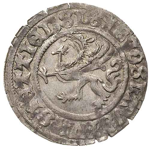 Bogusław X 1474-1523, szeląg 1501/0, Szczecin. Dbg. 390. patyna