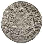 półgrosz 1546, Wilno, Ivanauskas 4SA11-5, rzadszy typ podobny do monet z roku 1545