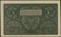 5 marek polskich 23.08.1919, seria II-A, numeracja 269,743, Lucow 367 (R1) - ilustrowany w katalog..